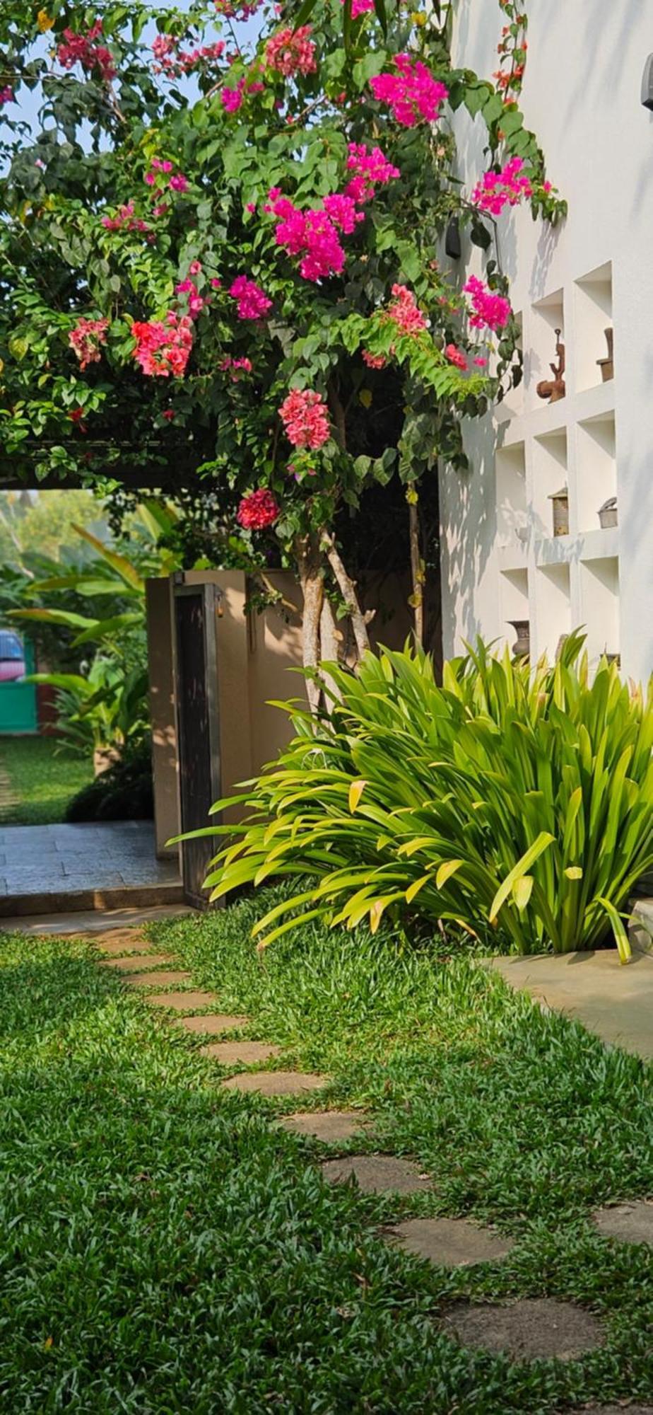 Villa Mia Mararikulam Exteriér fotografie