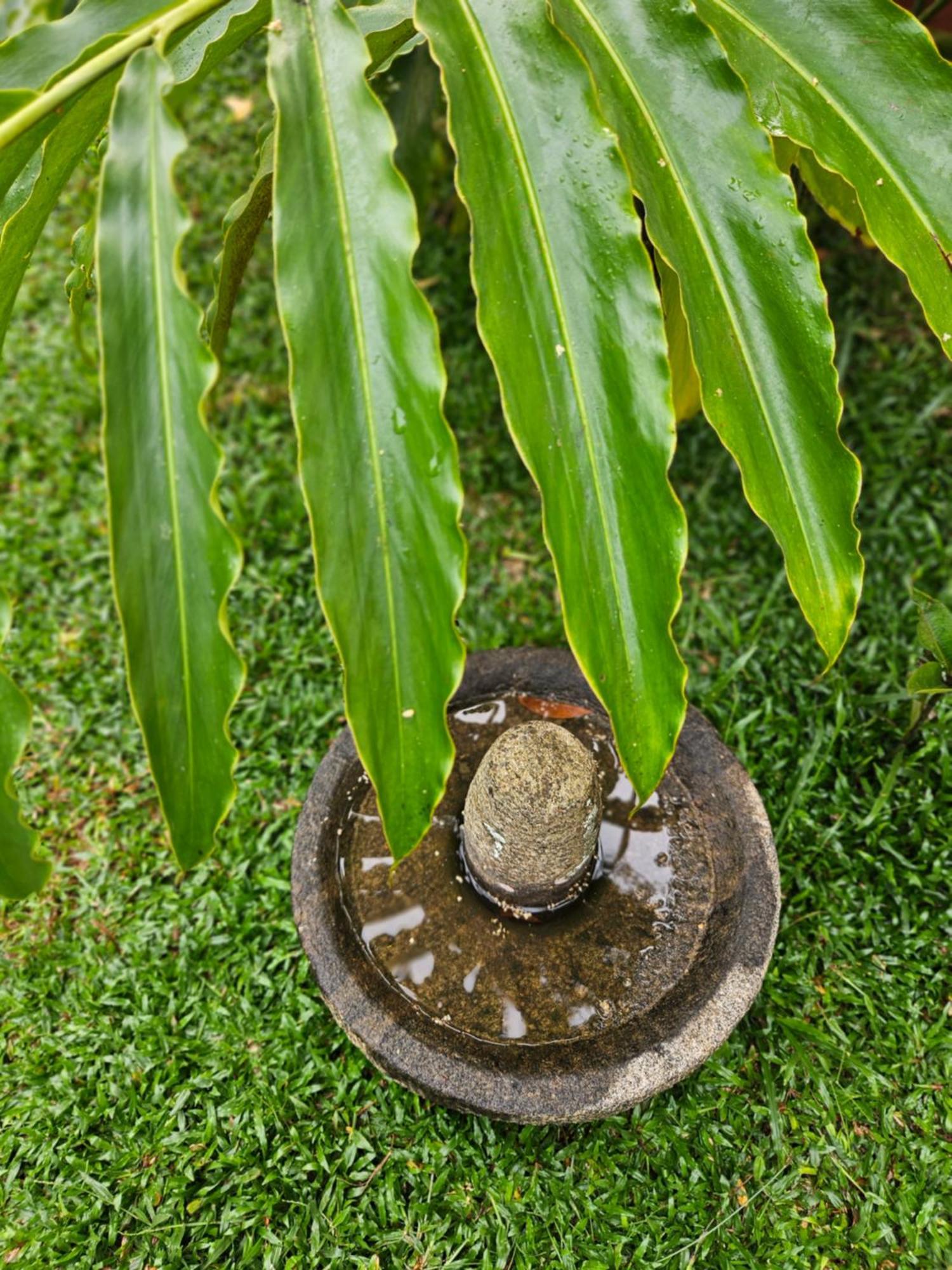 Villa Mia Mararikulam Exteriér fotografie