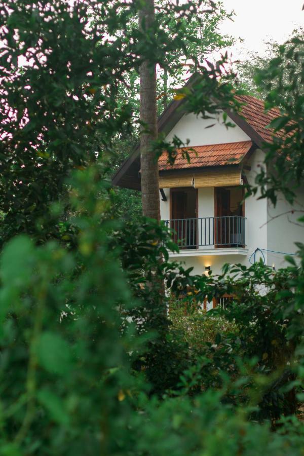 Villa Mia Mararikulam Exteriér fotografie